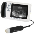 Handheld Scanner Equipment Farm Machinery Veterinary Ultrasound